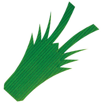 BARAN EBIGATA(1000HOJAS)