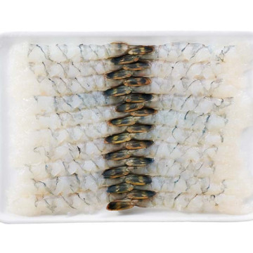 CAMARAO NOBASHI EBI 21/25...