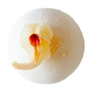 SOBREMESA MOCHI DE GELADO...