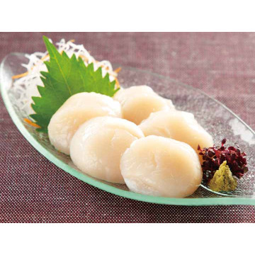 VIEIRA HOTATE 2S 36/40...